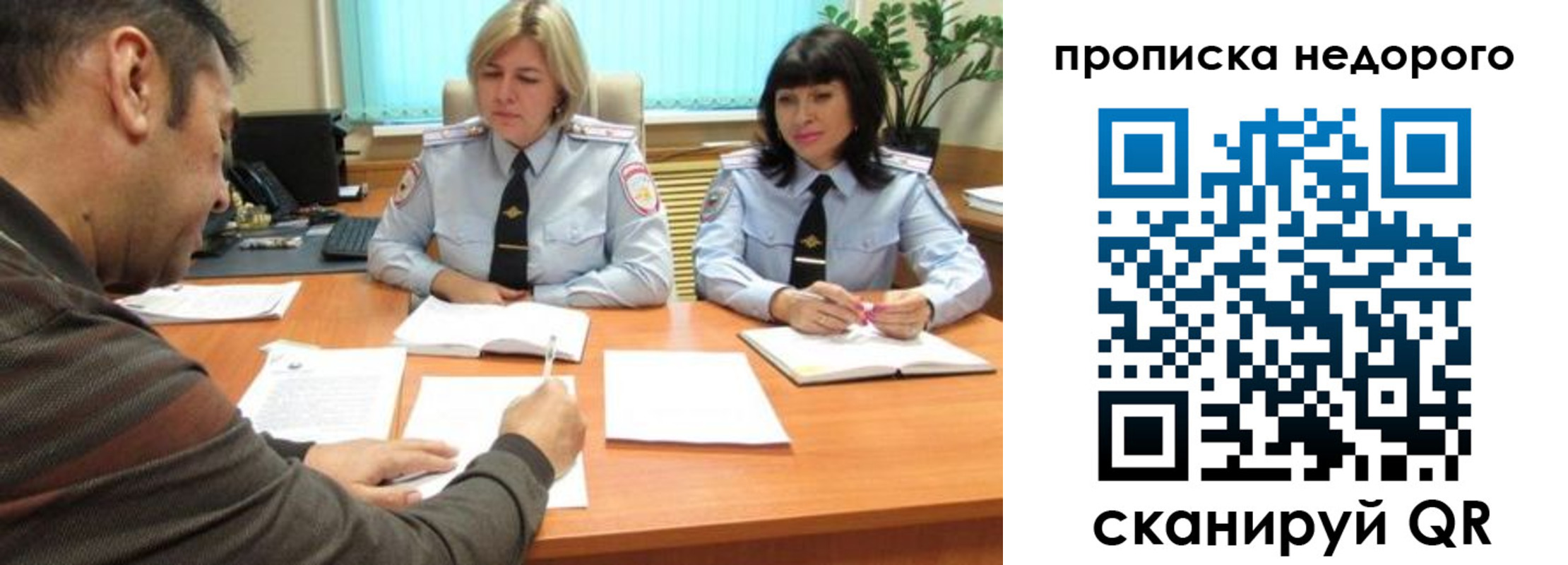 прописка поиск в Михайловске